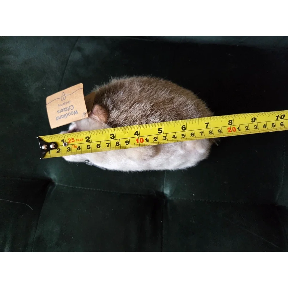 NWT Demdaco Woodland Critters Realistic Hedgehog Plush Stuffed Animal Toy